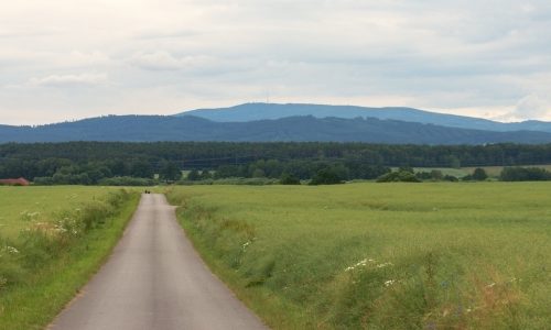 Potraviny