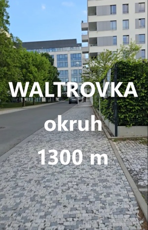 WALTROVKA - okruh 1300 m