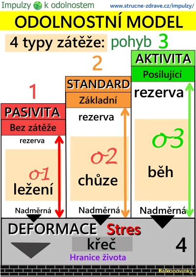 Odolnostní model - schéma
